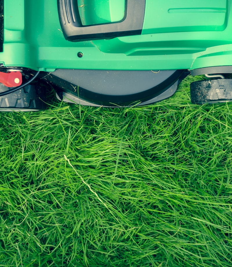 Lawn equipment on fresh-cut grass